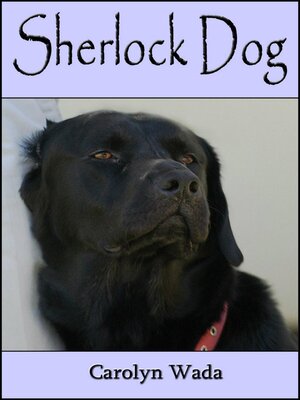 cover image of Sherlock Dog